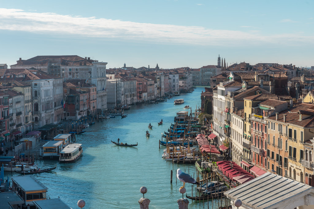 Canal Grande de Venecia con góndolas navegando entre los palacios