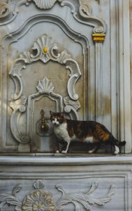 Gato sobre una fuente otomana decorada en Balat, Estambul	